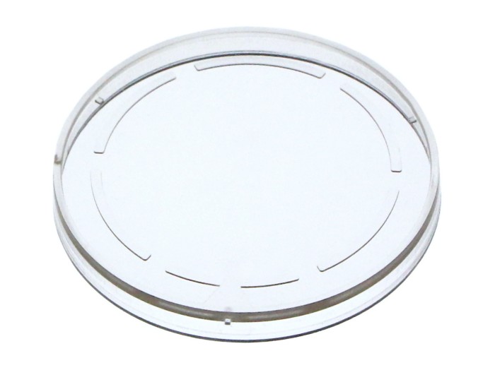 DIC Lid for µ-Dishes