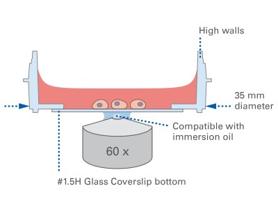 µ-Dish 35 mm, high Glass Bottom