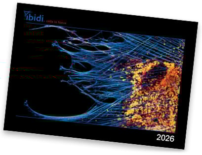 ibidi_calendar_2026.jpg