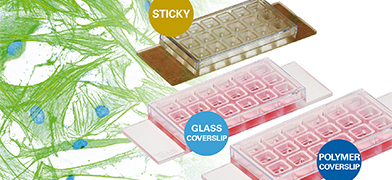 ibidi Product News: Discover 18 Wells for Cost-Effective Cell Culture and High-Resolution Microscopy