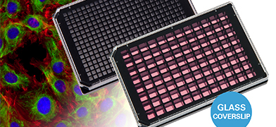 ibidi Product News:  The New ibidi Glass Bottom µ-Plates Combine High-Throughput With Super-Resolution Microscopy