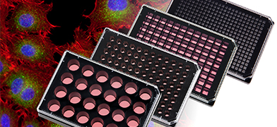 ibidi Product News: ibidi Updates the µ-Plate Family for High-Throughput Imaging