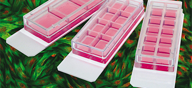 ibidi Product News: ibidi Offers New 3 Well and 8 Well Removable Chamber Slides for Immunofluorescence Assays