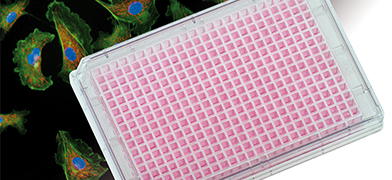 ibidi Product News: Combining High Resolution With High Throughput