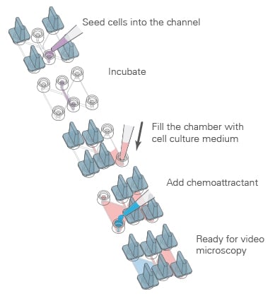 Sample Preparation