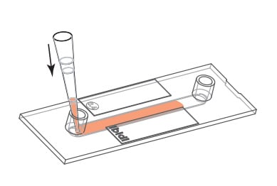 Cell seeding into a Channel Slide