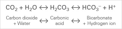 LCI_equation_CO2.jpg