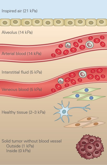 Oxygen_in_tissue.jpg