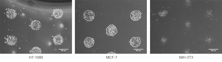 oem_mp_example_different_spheroids.jpg