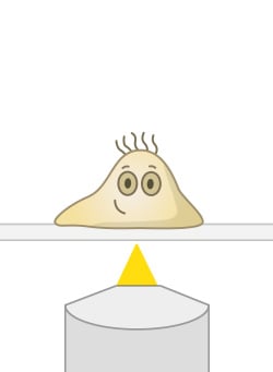 ta_inverted_vs_upright_inverted.jpg