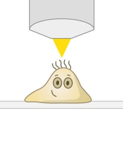 ta_inverted_vs_upright_upright.jpg