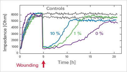 A novel magnet-based scratch method for standardisation of wound-healing  assays