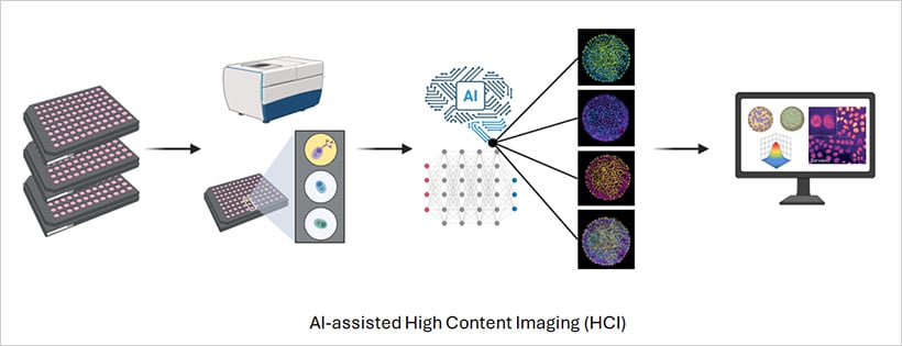 Schematic overview of a high-content imaging experiment