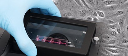 5 Reasons Why You Should Perform Live Cell Imaging