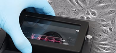 5 Reasons Why You Should Perform Live Cell Imaging