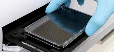 High-Content Screening: From Microscopy to Medicine