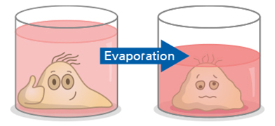 The Invisible Player: Humidity in Live Cell Imaging
