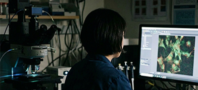 the myth of a perfect experiment