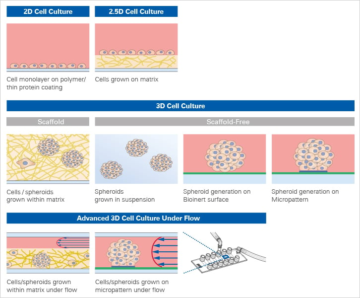 Soft 2D cell culture surfaces