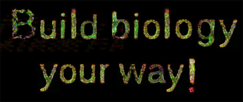 Contact and free sample CTA for ibiTreat µ-Patterns