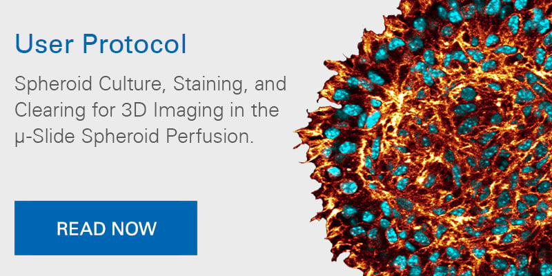 User Protocol: Spheroid Culture, Staining, and Clearing for 3D Imaging in the µ-Slide Spheroid Perfusion