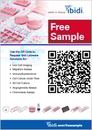 FL_008_Free_Sample.jpg