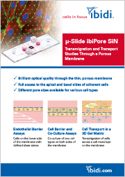 µ-Slide ibiPore SiN
