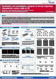 Qualitative and quantitative analysis of slowly migrating chemotactic cancer cells in 3D (PDF)