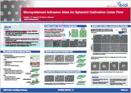 Micropatterned Adhesion Sites for Spheroid Cultivation Under Flow