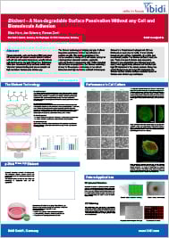 Bioinert –A Non-degradable Surface Passivation Without any Cell and Biomolecule Adhesion