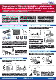 ibidi_poster_EGF_guided_cell_chemotaxis.
