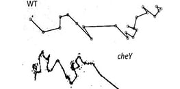 UP01.jpg