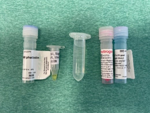 Preparation of secondary antibody and counterstaining solution