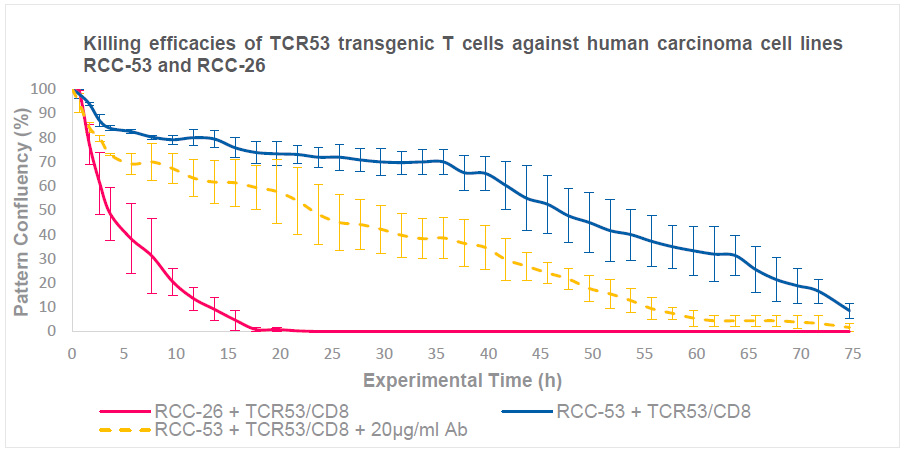 T cell-mediated killing assay quantification with TCR53/CD8 T cells and RCC-26 or RCC-53 tumor cells
