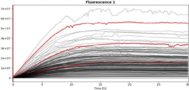 PyAMA fluorescence time-course graph of analyzed single-cell spots