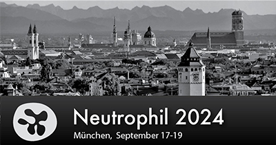 2024_neutrophil