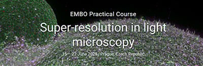 2025_embo_practical_course_super-resolution