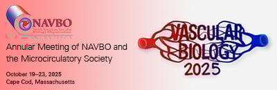2025_vascular_biology