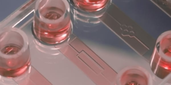 Online Course Microstructuring