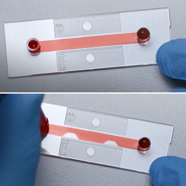 Hydrogel-based microfluidics ibidi Micro Illumination System