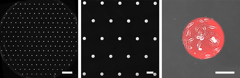 I_76000_imi_ex_micropatterning_cir_01_820.jpg
