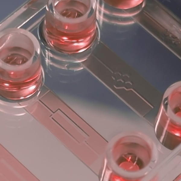I_76000_imi_expl_slide_spheroid_gen_400.jpg