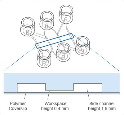 Principle of the µ-Slide Tissue Engineering