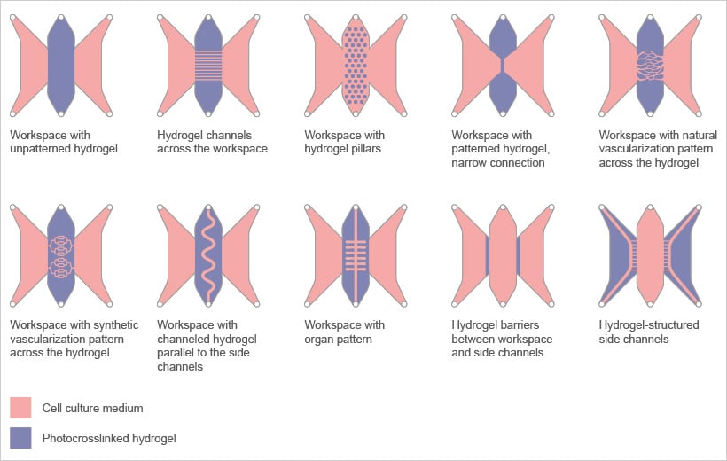Structural Examples