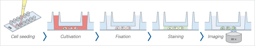 S_8060X_Slide_VI04_workflow.jpg