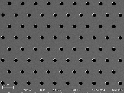Âµ Slide Membrane Ibipore Flow Transmembrane And Transmigration Ibidi