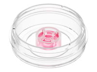 micro-Insert 3D in µ-Dish