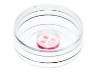 micro-Insert 4 Well