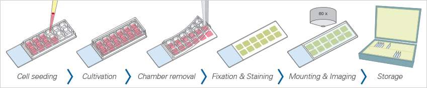 E_8XXXX_Chamber_removable_1.jpg