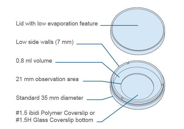 µ-Dish 35 mm, low | Cell Culture Imaging Dish | ibidi